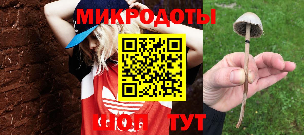 Боровичи  Псилоцибиновые грибы прущие грибы  Вход с VPN 