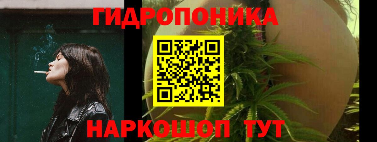 Бошки Шишки гибрид  Шишки марихуана семена  МАРИХУАНА планчик  Боровичи  Конопля THC 21%  Вход с VPN 